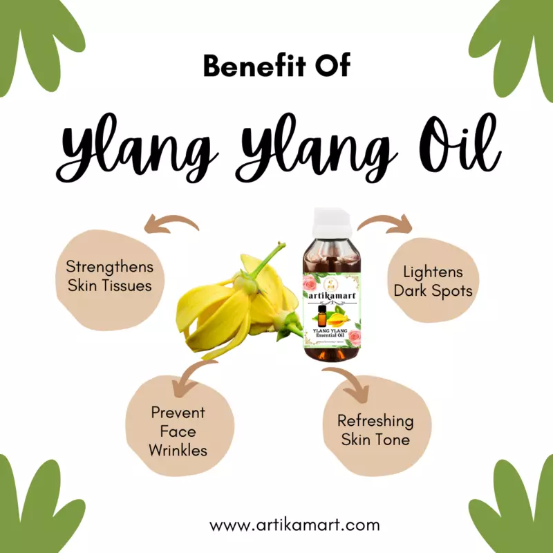 Ylang Ylang Oil E.O.