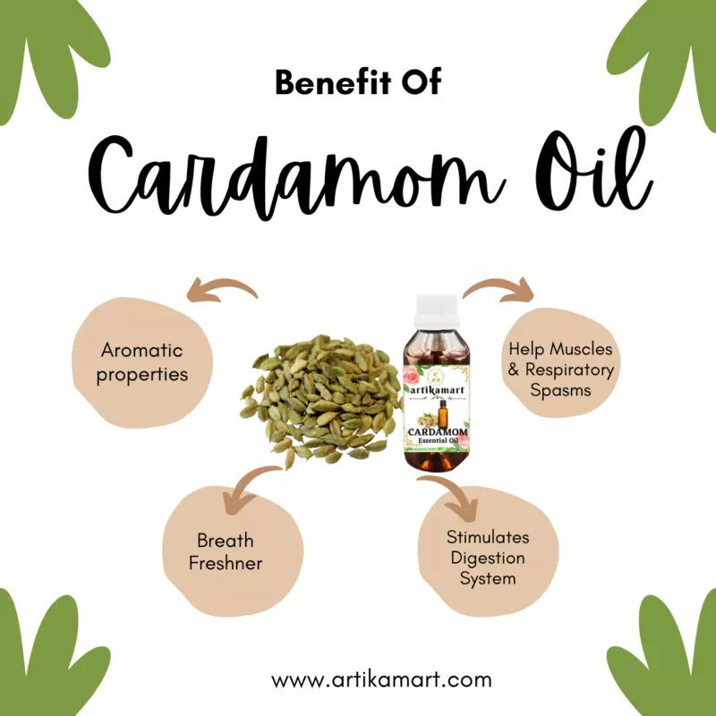 Cardamom Oil E.O.