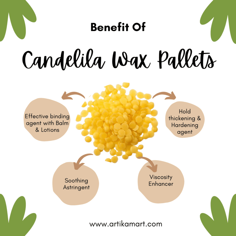 Candelila Wax Pellets