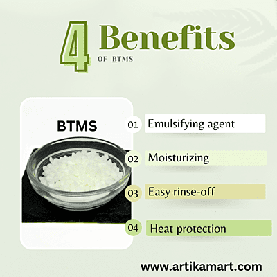 BTMS BTMS