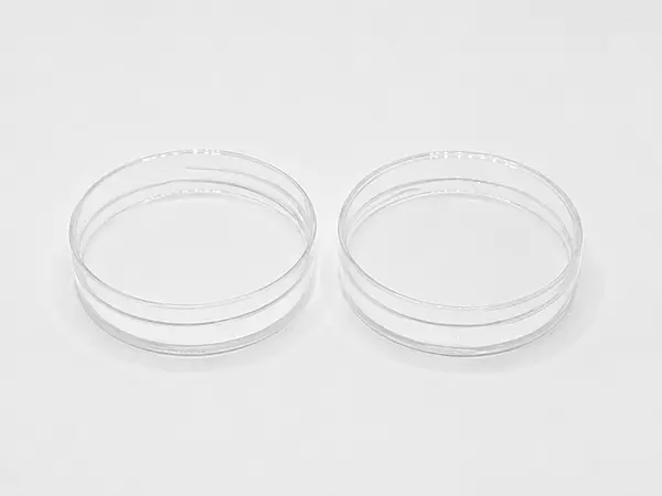 Cap - PET - 63mm CLEAR Plastic Jar (with Foam Wad)