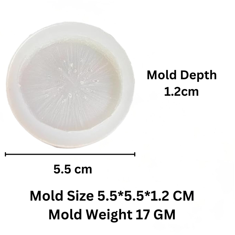 Silicon Mold Candle Kiwi Slice